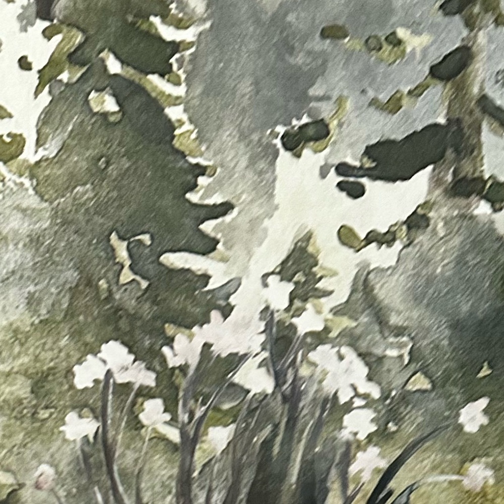 Meet your Posher, Corey